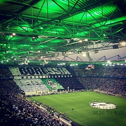 Stadion