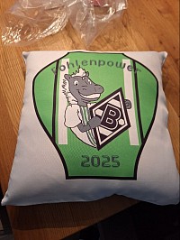 Fanclub Kissen